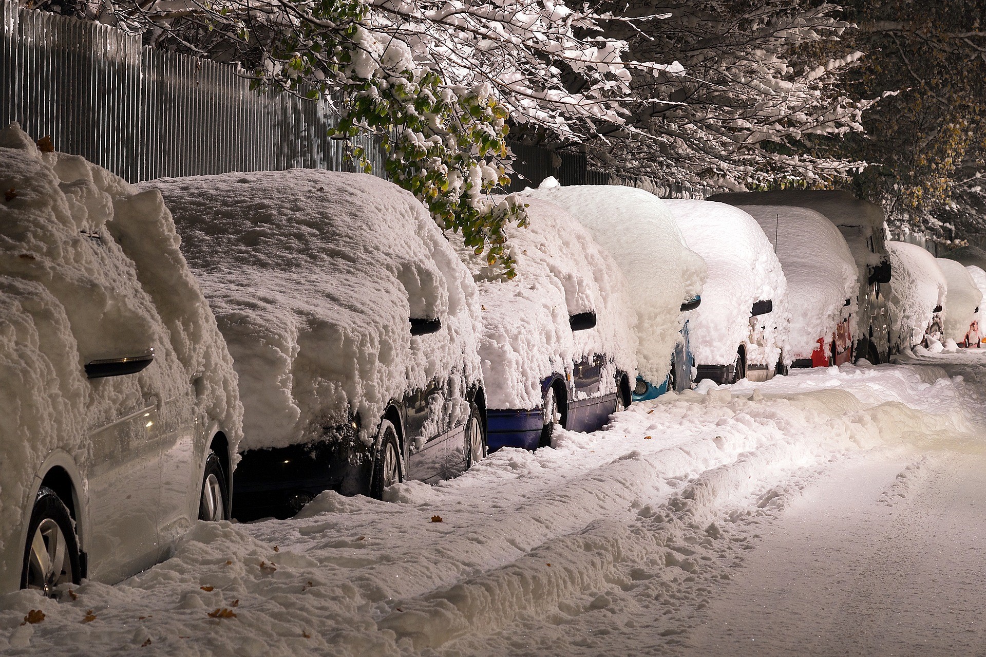 Cars Covered in Snow